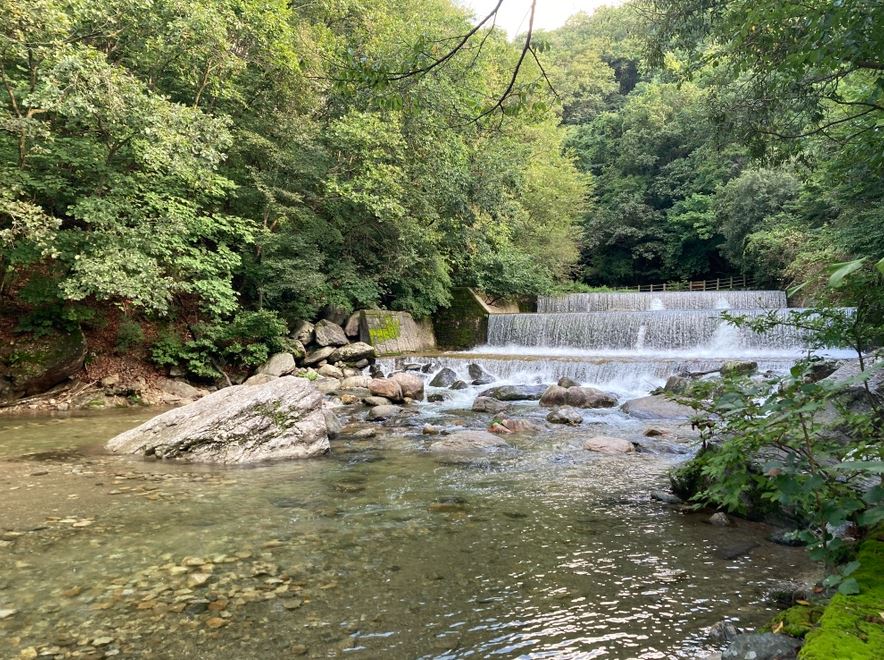 유명산 자연휴양림